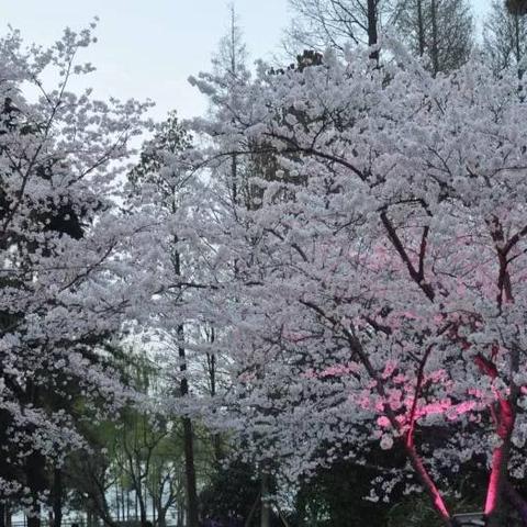 无锡市湖光的长尾关键词有哪些