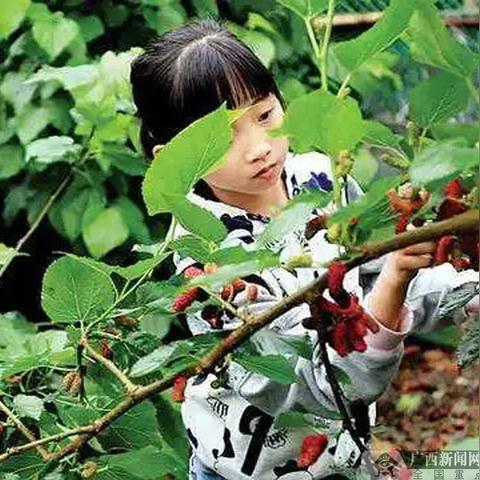 南宁缝衣服的相关长尾关键词有哪些