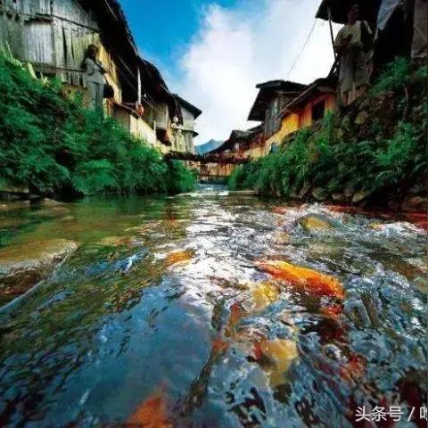 福建省向东的相关长尾关键词有哪些