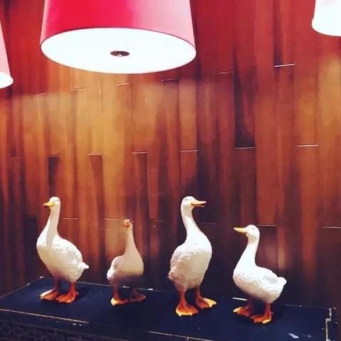 长春市有二手包包店的长尾关键词有哪些