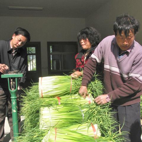 2025.12.25周口今日气温变化情况