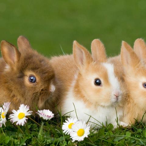 伤官人如何取财(伤官生财是怎么赚钱的)