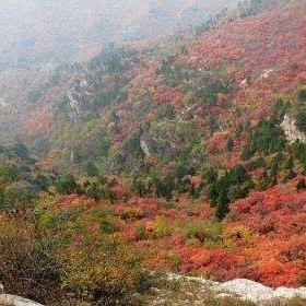 河北保定市的气候的长尾关键词有哪些