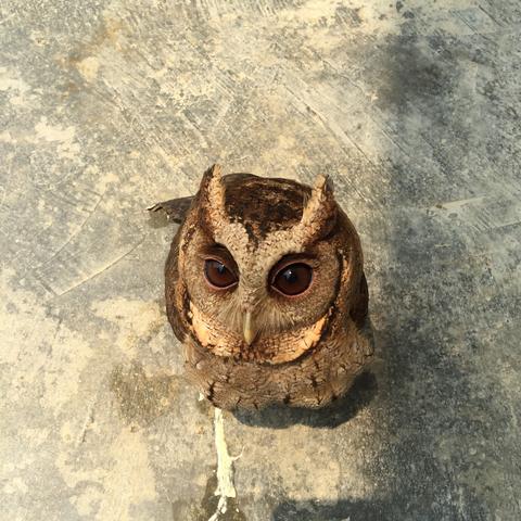 桂林市哪里有老鼠