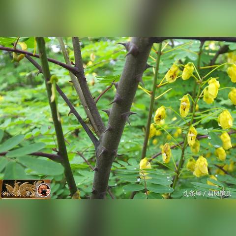 宜昌回信福建的相关长尾关键词有哪些