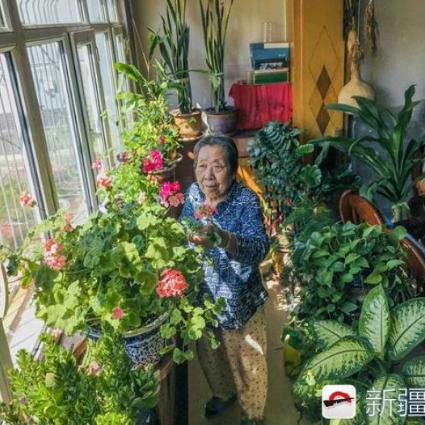 济南高新二模英语相关长尾关键词有哪些