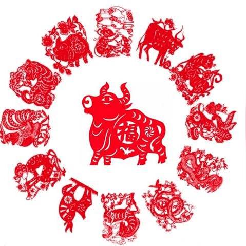 生肖龙五月的运势(生肖龙五月的运势如何)