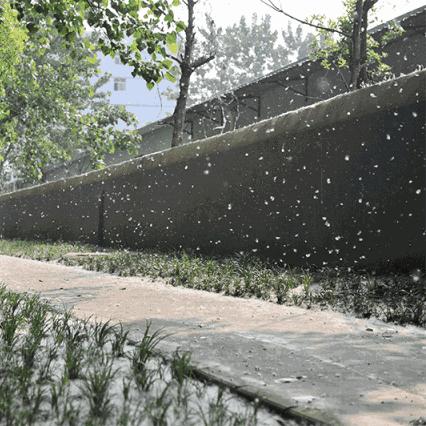 查询无锡市天气的长尾关键词有什么