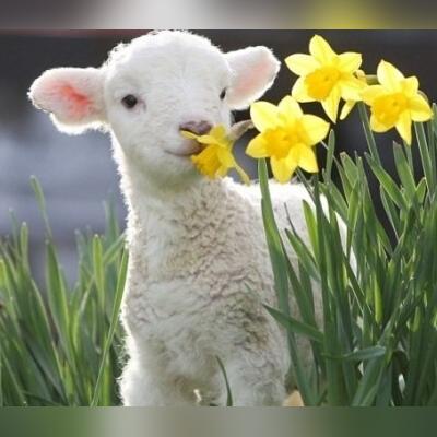 运势低迷别发愁，这些方法帮你转个运