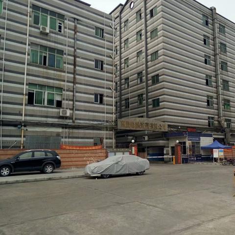 东莞市哪些早市可以摆摊