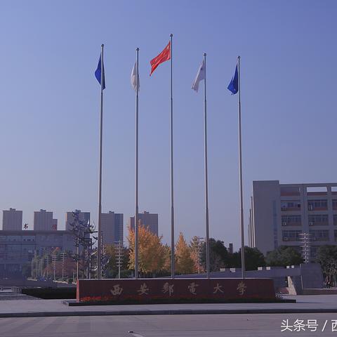 跨境电商哪个平台兼职好