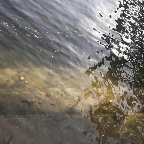 周口市哪里有卖泡沫砖