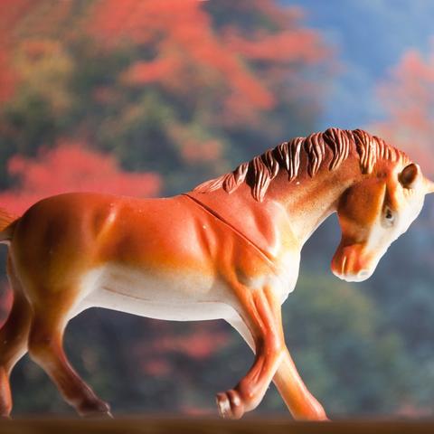 今年马生肖运势如何(今年生肖马的运势)