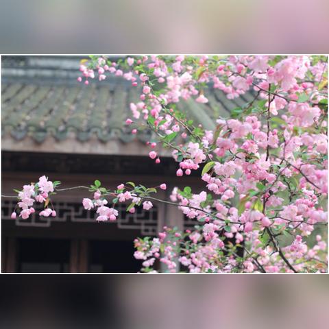 无锡市西郊哪里好玩