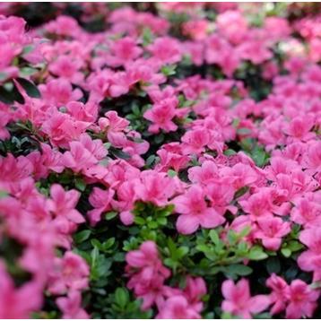 无锡市古玩店在哪里开