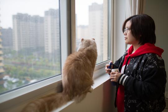 厉害了上海两90后妹子涉足宠物经济养了三只猫价值三百万