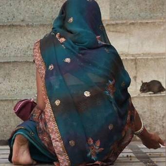 生肖鼠22日的运势如何(2022生肖鼠运势大全每月运程)