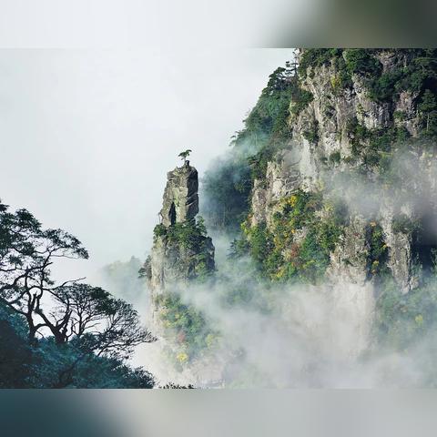 广东省佛山市主要寺庙的长尾关键词有哪些