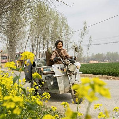 河南种什么蔬菜最好活