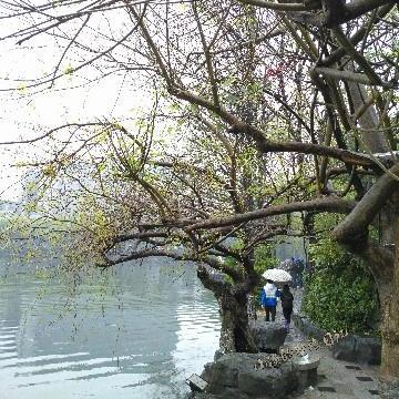 桂林市新汽车南站在哪里