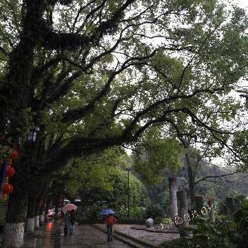桂林正阳街 美食相关长尾关键词有哪些