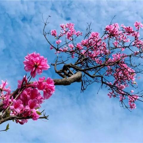 宁波市附近是什么海