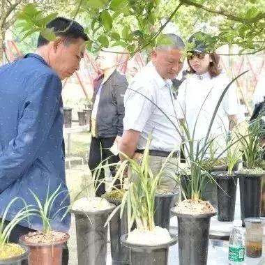 成都市兰花博览馆在哪里