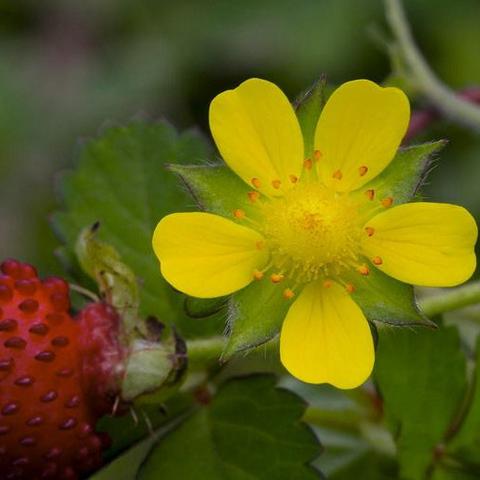 江苏苏州常熟高速公路封闭最新消息的长尾关键词有哪些