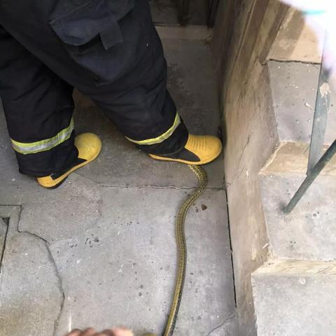 无锡市卖蛇的长尾关键词有哪些