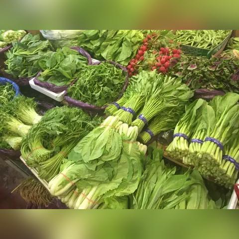 武汉和天津天气哪个好