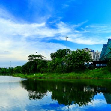 深圳市的东部是什么区