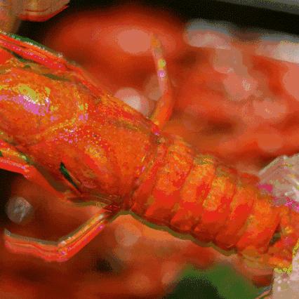 温州市工业垃圾燃烧棒的长尾关键词有什么