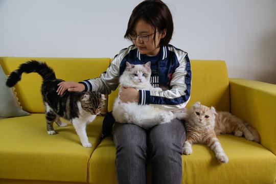 靠三只猫咪创业的94年女孩通过网络平台和自己的努力闯出一片天