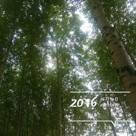 馒头哈尔滨相关长尾关键词有哪些