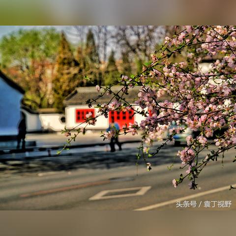 沈阳市鲁园是哪个区