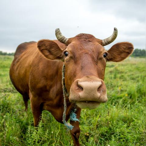 紫微斗数中这几个位置藏着你的好运开关