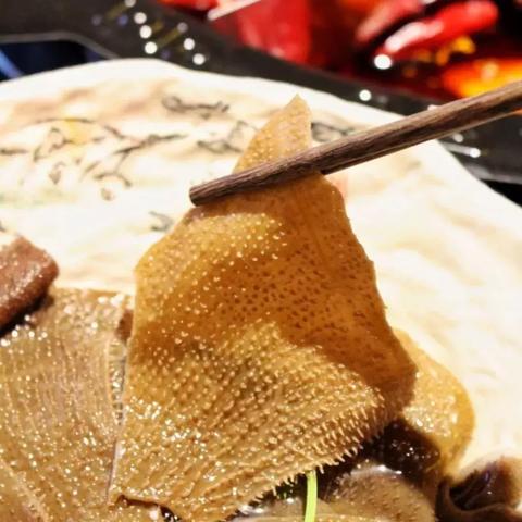 南宁怎么线上办理无犯罪记录证明？