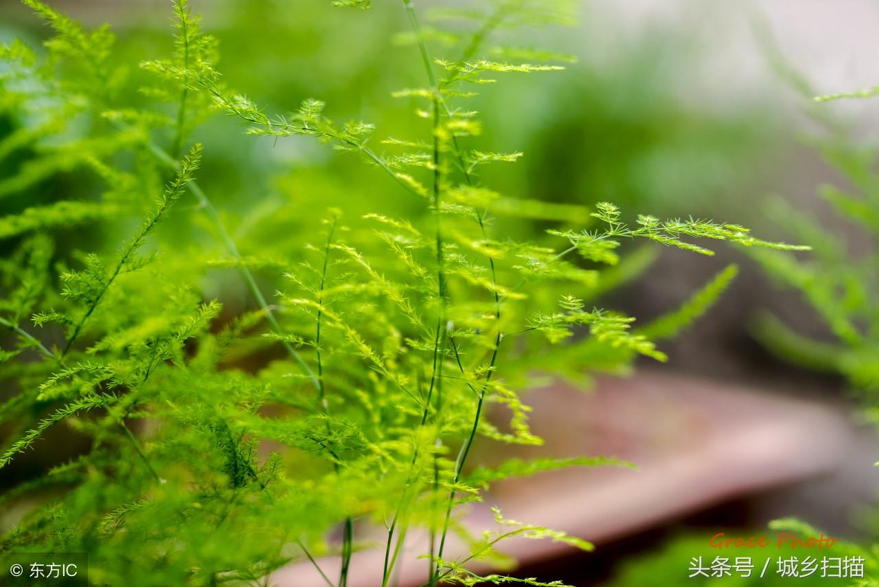 病人送什么花,纹身被大部分人所接受了吗?