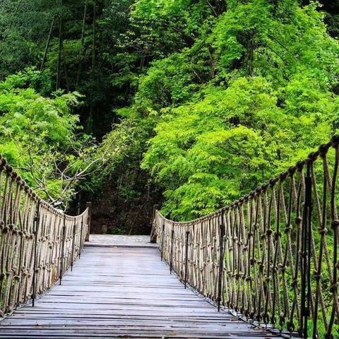 温州市皮划艇基地在哪里