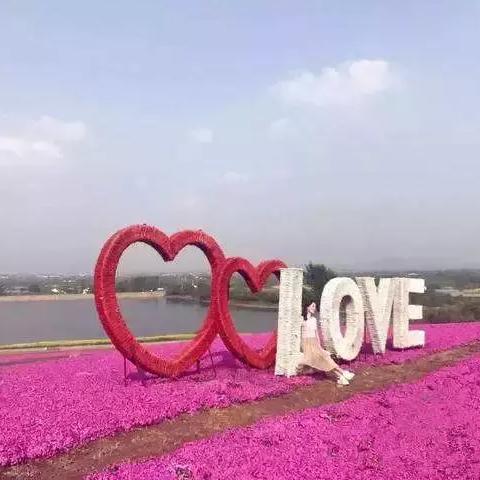 河南芝樱小镇的相关长尾关键词有哪些