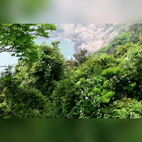 福建景区哪个最好爬山