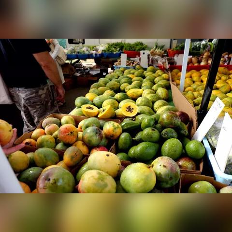 南通夏威夷果脆片长尾关键词有什么