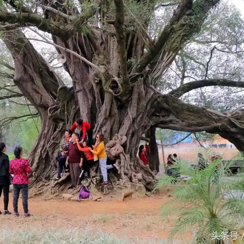 桂林市玻璃吊桥有哪些