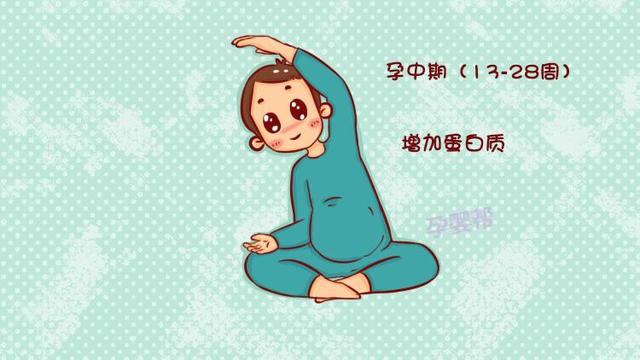 孕期体重增长多少正常