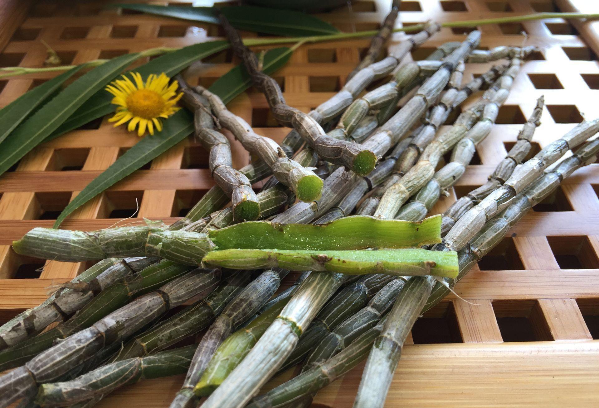 石斛有什么作用与功效铁皮石斛有哪些功效与作用及食用方法