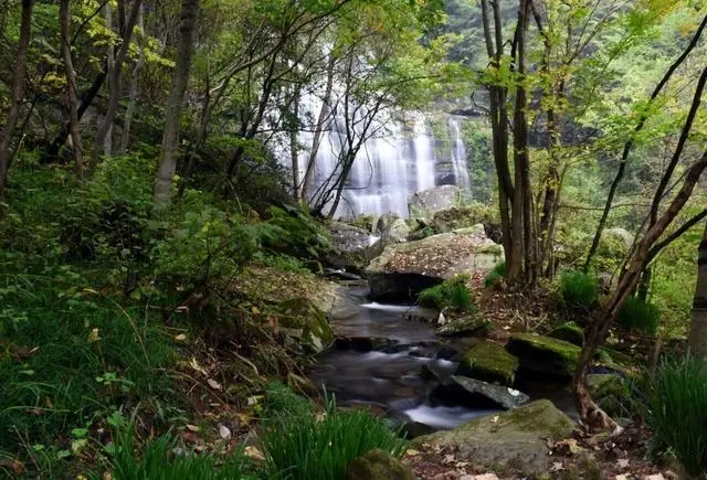 怎么样让一个号降权 淘宝如何让一个链接降权