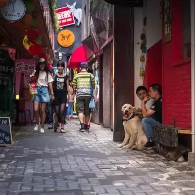 合肥市中隐于市叫什么街