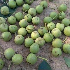 怎么区别真假微商