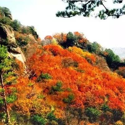 长春的空气什么味啊