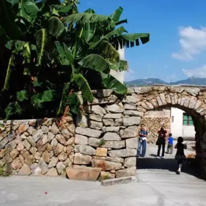 温州市黄泥村是哪个镇管